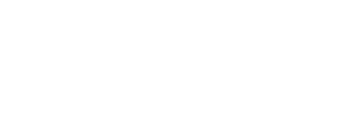 logo only lyon